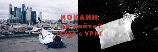 мдпв Инта