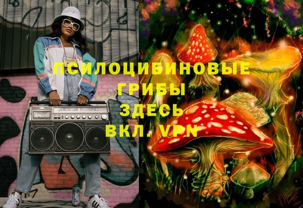 мдпв Инта