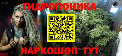 амф Гусев