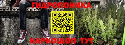 амф Гусев