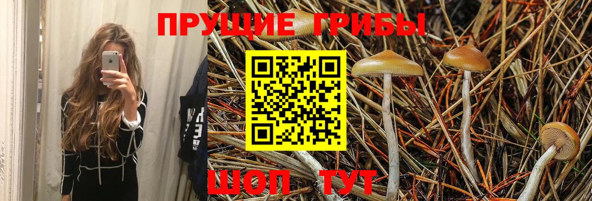 Псилоцибиновые грибы прущие грибы  Вход с VPN  где можно купить   Минусинск 